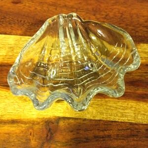 Clear Glass Shell Trinket Dish